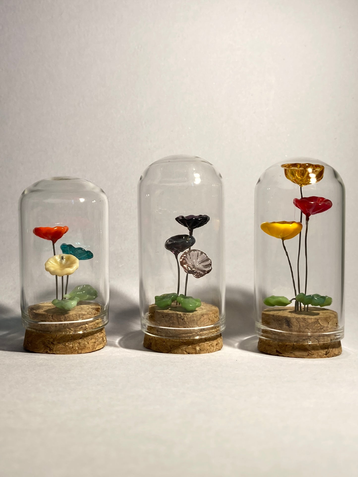 Fleurs bleues, blanches et rouges en verre sous cloches