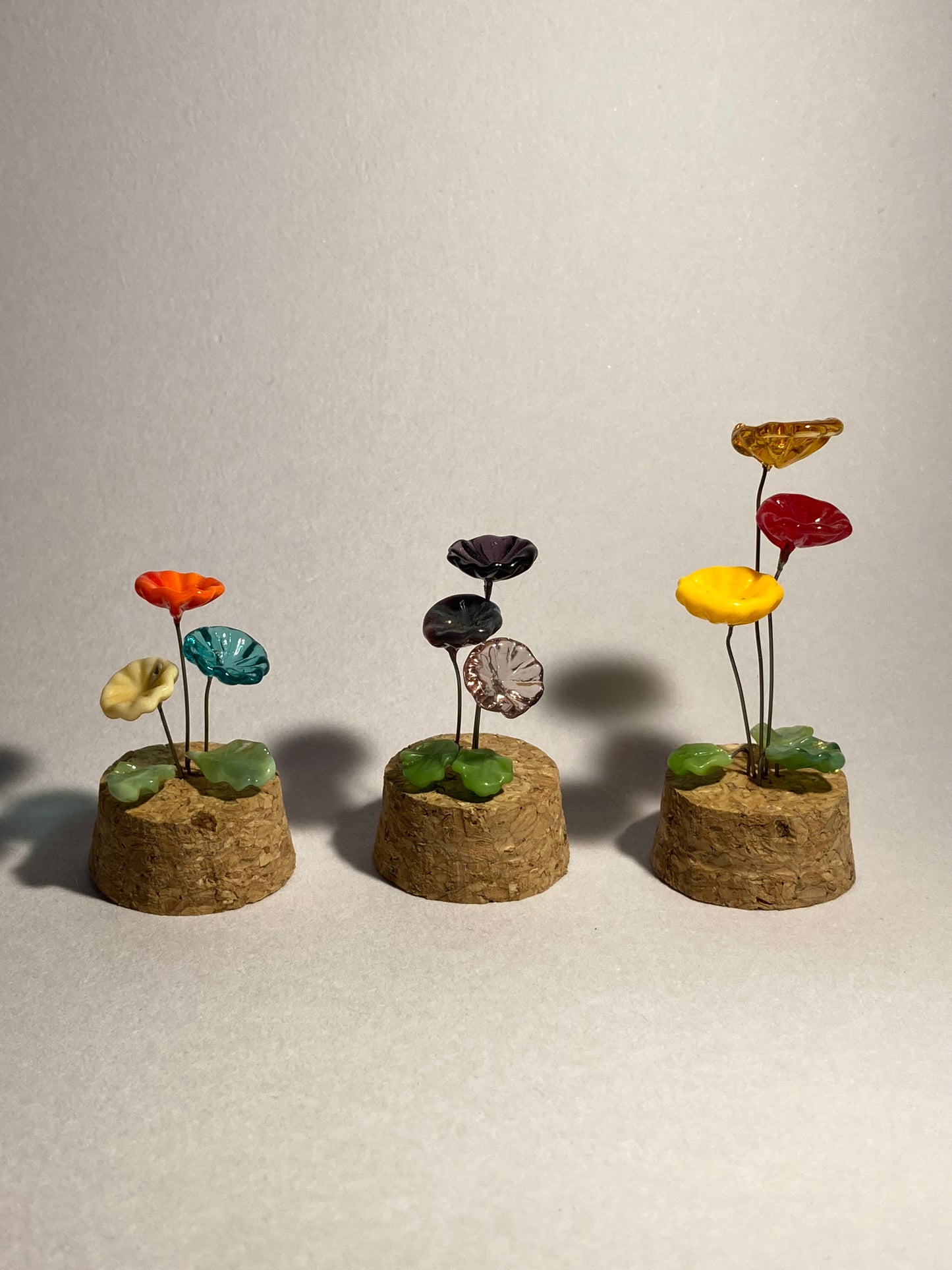 Fleurs bleues, blanches et rouges en verre sous cloches